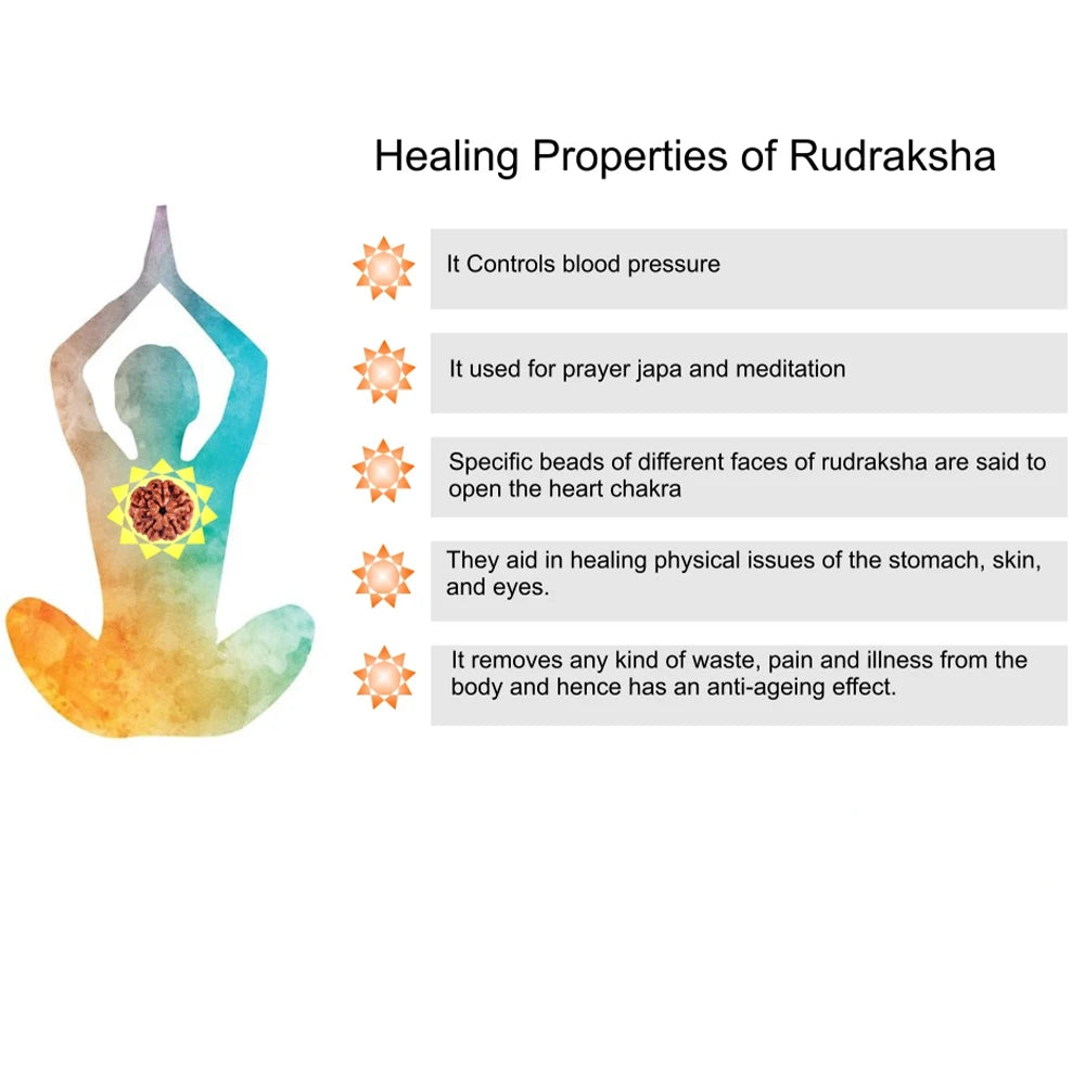 🕉️ Punchmukhi Rudraksha – Spirituelles Set aus Halskette & Armband