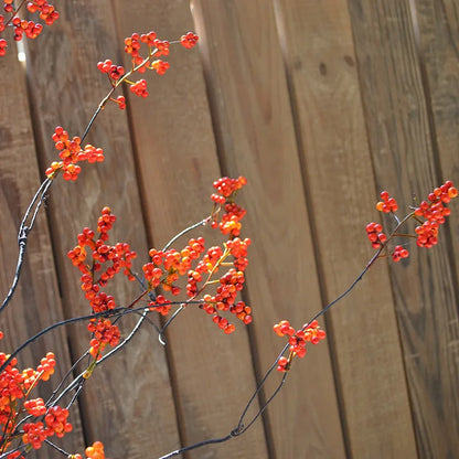 🌿 Chinesische Blumenarrangement-Zweig – Natürliche Eleganz für Zen-Dekoration