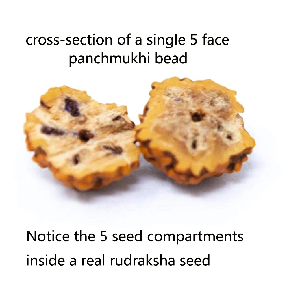 🕉️ Punchmukhi Rudraksha – Spirituelles Set aus Halskette &amp; Armband