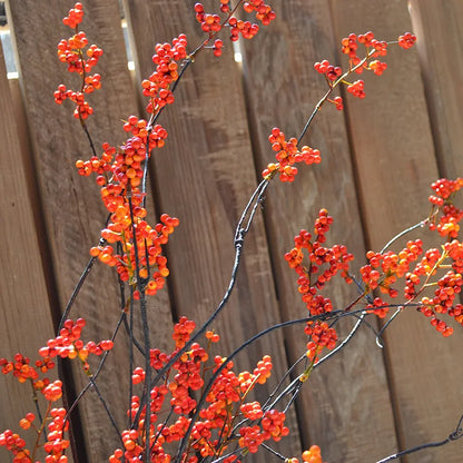 🌿 Chinesische Blumenarrangement-Zweig – Natürliche Eleganz für Zen-Dekoration